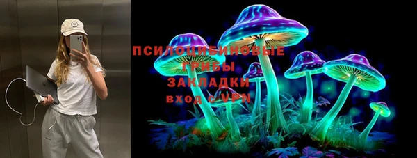 герыч Бронницы