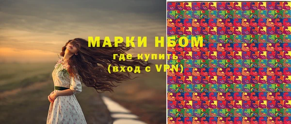 бошки Богородицк