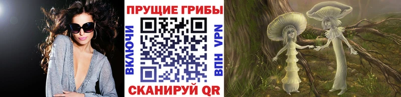 Галлюциногенные грибы Cubensis  Минеральные Воды 